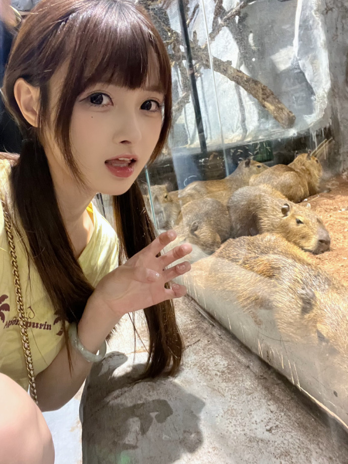 唐朝诡事录之西行 封面